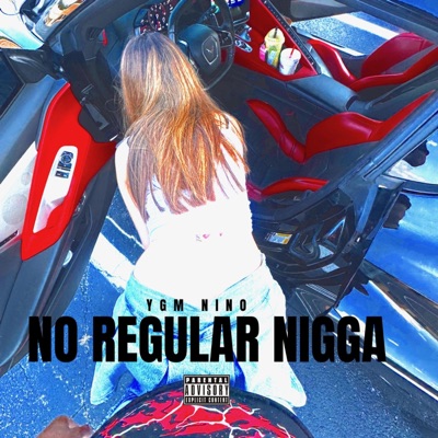 NO REGULAR NIGGA - Single