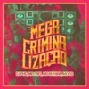 Mega Criminalização (Remix) - Single