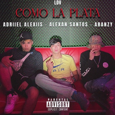 Como la Plata (feat. Adriiel Alexiis & aranzy) - Single