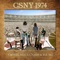 The Lee Shore - Crosby, Stills, Nash & Young lyrics