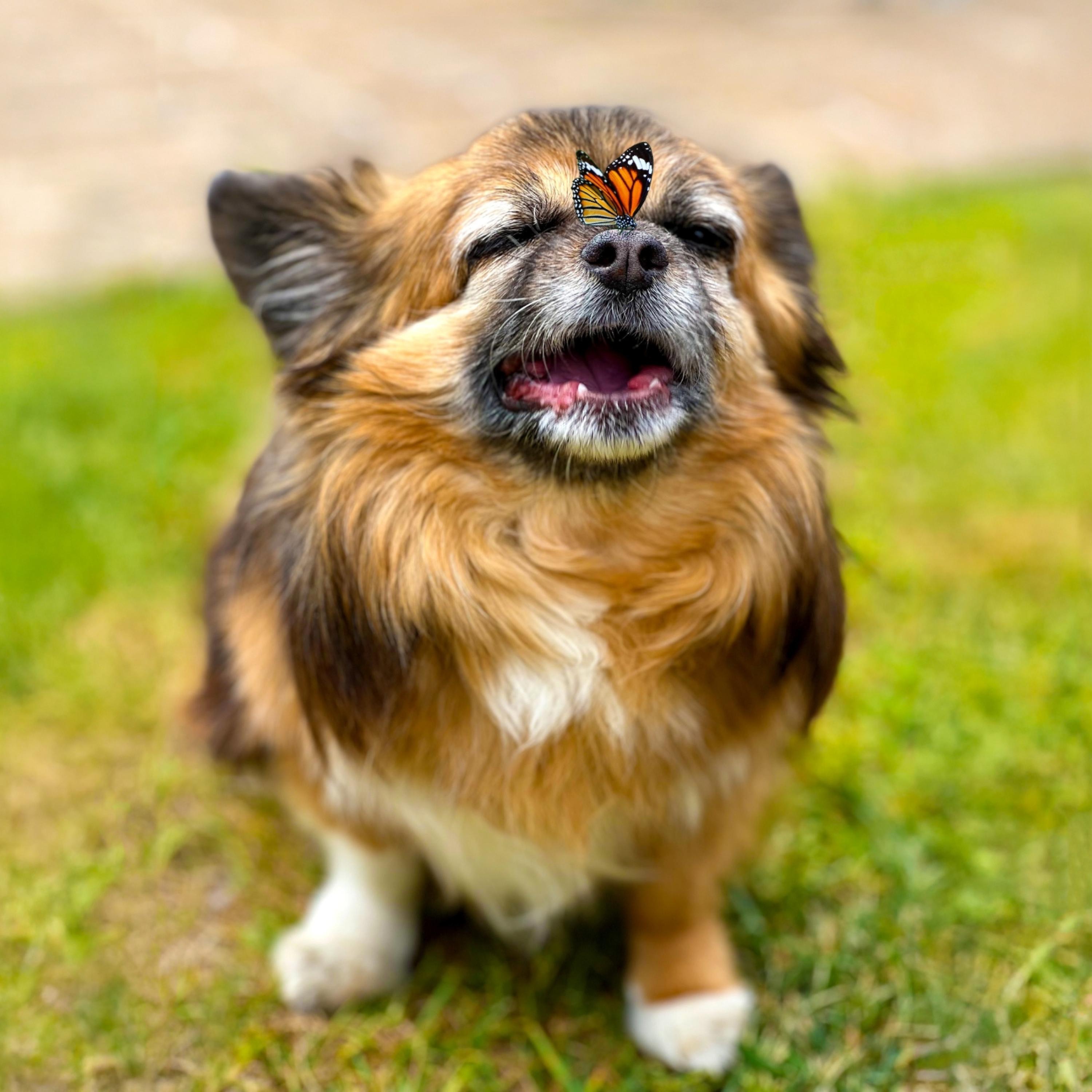 Tot (n)ooit - Single