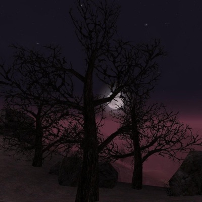 WANNABE REVEREND - Single