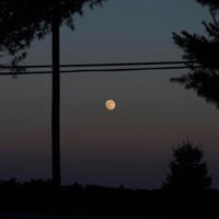 passing seasons - Single - cxlt. & herman.