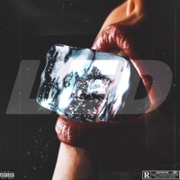 Led - Single - Shu