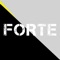 FORTE - DJ NM lyrics