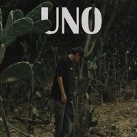Uno - Single