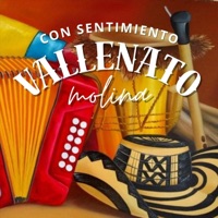 Con Sentimiento Vallenato Molina - Single - Molina