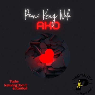 Paano Kung Wala Ako (feat. Dom T & Jhimboii) - Single