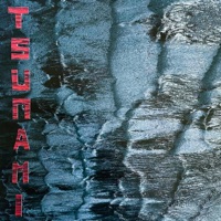 TSUNAMI (feat. Sol'fi) - Single - Happy Land