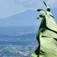 Rock Island (Profibus) - Single - Profibus