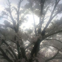 EsDeeKid - Single - Nirlof