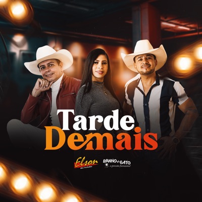 Tarde Demais - Single