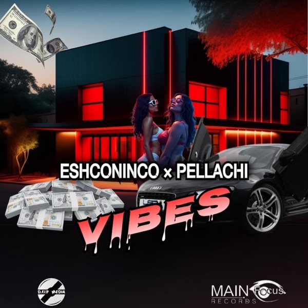 Vibes - Single