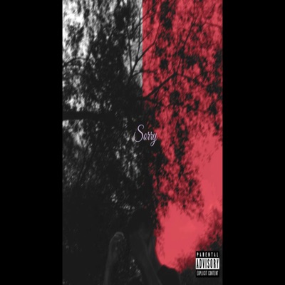 Sorry (feat. Ease Is Easy) - Single