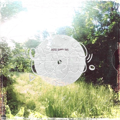 Wasted summer days (feat. Alessio Cambareri) - Single