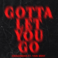 Gotta Let You Go (feat. Yari Bray) - Single - DJ Swagrman