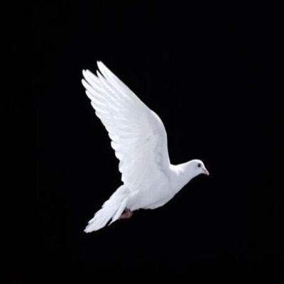 HATE OURSELVES (LETTER 2 REDEYEZ) (feat. Derez De’Shon, Big Verb, Tweety B & Idol X) - Single