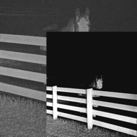 artikk - deluxe - THXRN