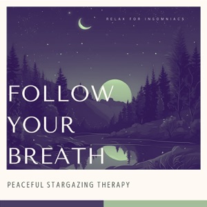 Follow Your Breath - Peaceful Stargazing Therapy