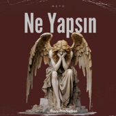 Ne Yapsın artwork