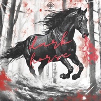 Dark Horse - Single - BWhereYouAt