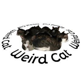 Weird Cat NTOP