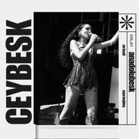 Anadolubesk - Single - Ceybesk