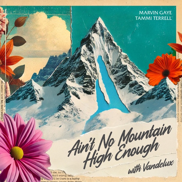 Ain't No Mountain High Enough (with Vandelux) - Single