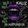 Sr murmurador
