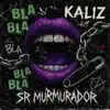 Sr murmurador