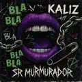 Sr murmurador