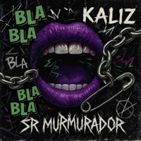 Sr murmurador
