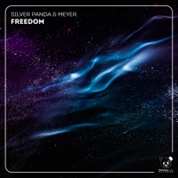 Freedom - Single - Silver Panda & Meyer