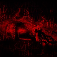 kill slvt! - Single - usedkidd