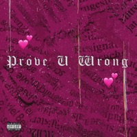 Prove U Wrong - Single - Archie Trillfiger