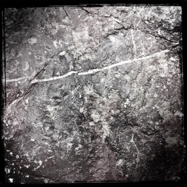 Streams of Consciousness 241602
