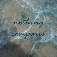 nothing compares - Single - hidingtobefound