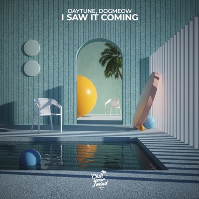 I Saw It Coming - Single