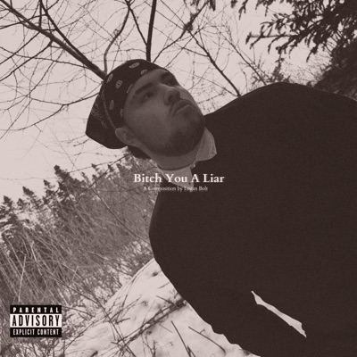 Bitch You a Liar - Single