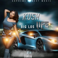 KUSH LIFE - Single - BIG LOS