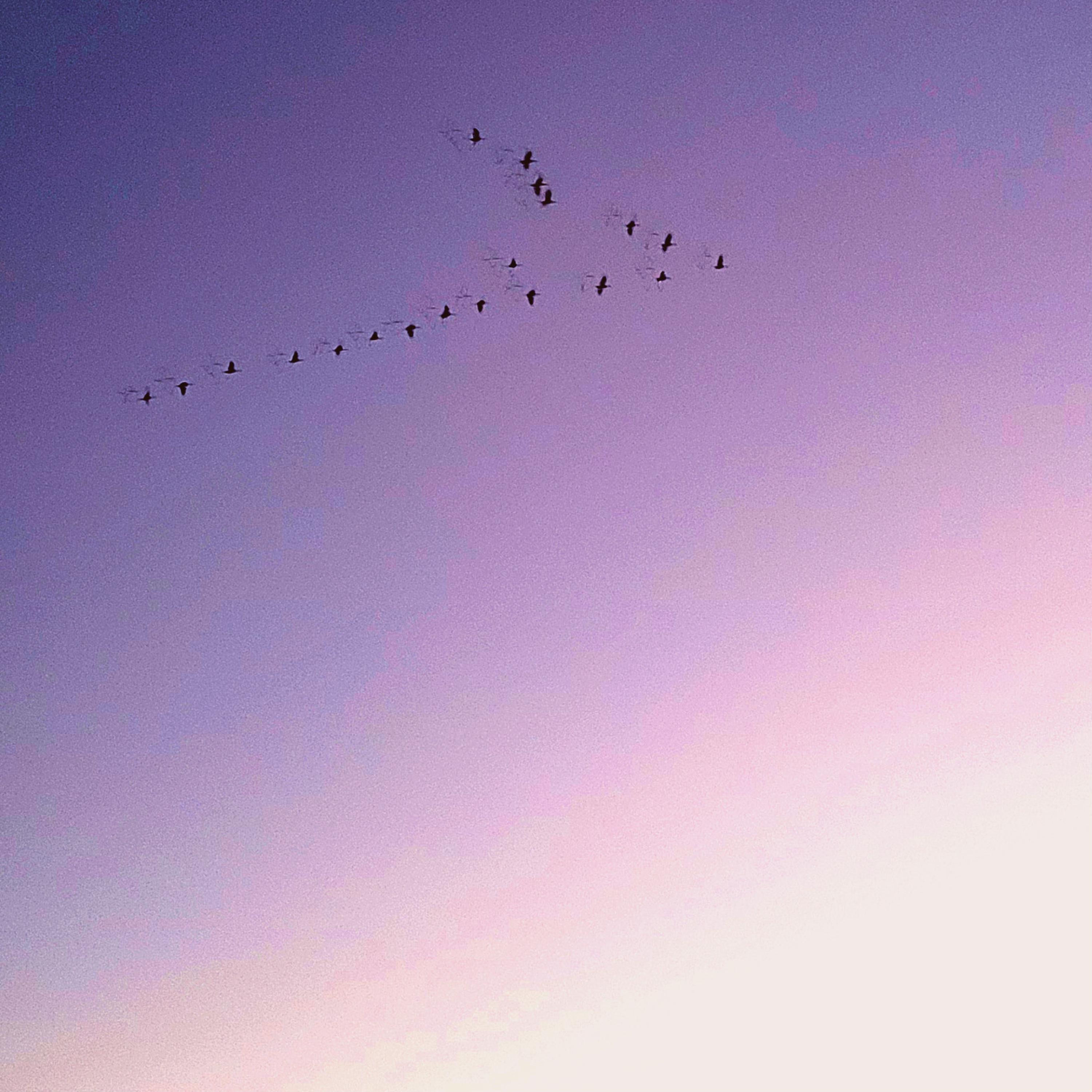 like a peeled orange sinks in water