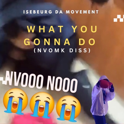 What You Gonna Do (NVO MK DISS) - Single