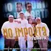 No importa (feat. Fenix de Fuego & Lendavis) (Remix)