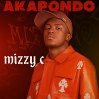Akapondo - Single - Mizzy C