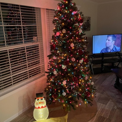 Merry Christmas - Single