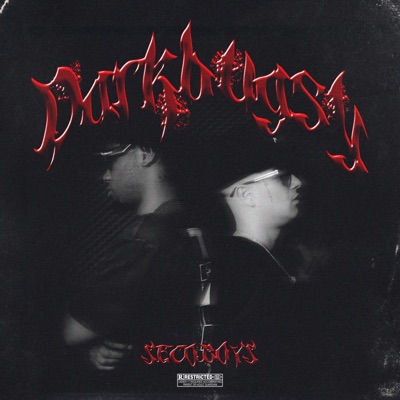 DARKBUGSY (feat. Seco Boys)
