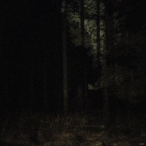 TREPIDATION - EP