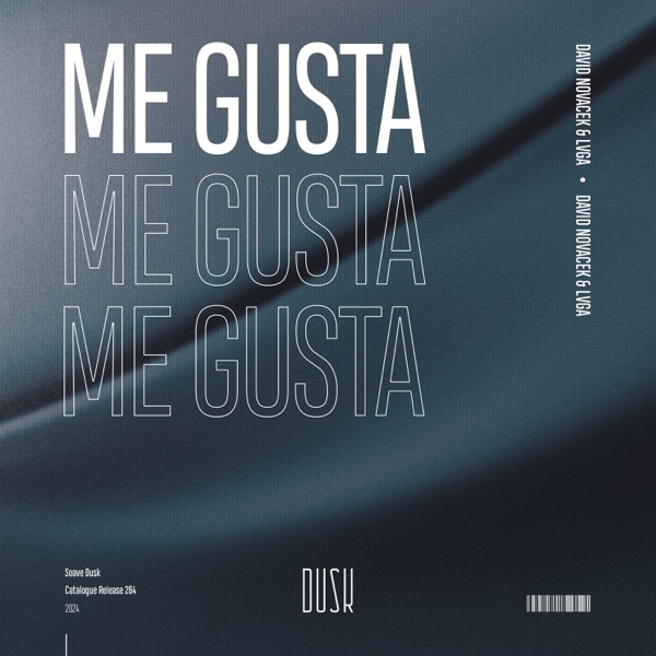 Me Gusta - Single