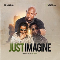 Just Imagine (feat. T-Sean & Bow Chase) - Single - Dr Msiska