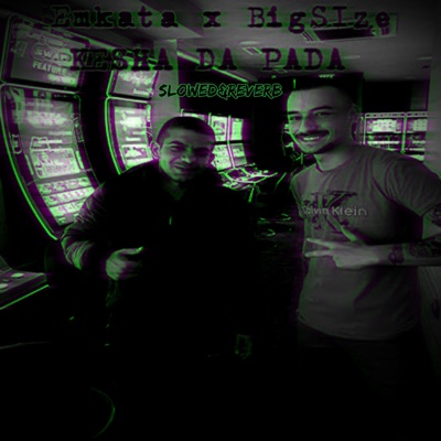 Kesha Da Pada (Slowed + Reverb) [feat. BigSize] - Single